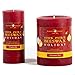 Bluecorn Beeswax 100% Pure Beeswax Holiday Candle (2x4.5, Cinnamon Zest)