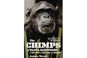 The Chimps of Fauna Sanctuary: A True Story of Resilience and Recovery