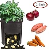 Growsun 10 Gallon Fabric Potato Bags Grow Pots with Handle,2 Pack Per Set