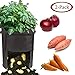 Growsun 10 Gallon Fabric Potato Bags Grow Pots with Handle,2 Pack Per Set