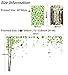 Large Memory Tree Photo Frames Combination DIY Wall Stickers Removable Transparent Wall Decals Art for Living Room Bedroom Decorative Home Decoration Stickers Mural (AM9019)