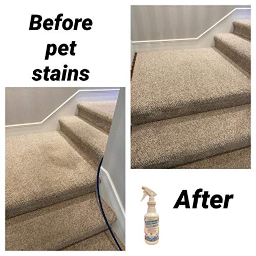 Dr. Carpet Pet Stain Removal Formula Pricepulse