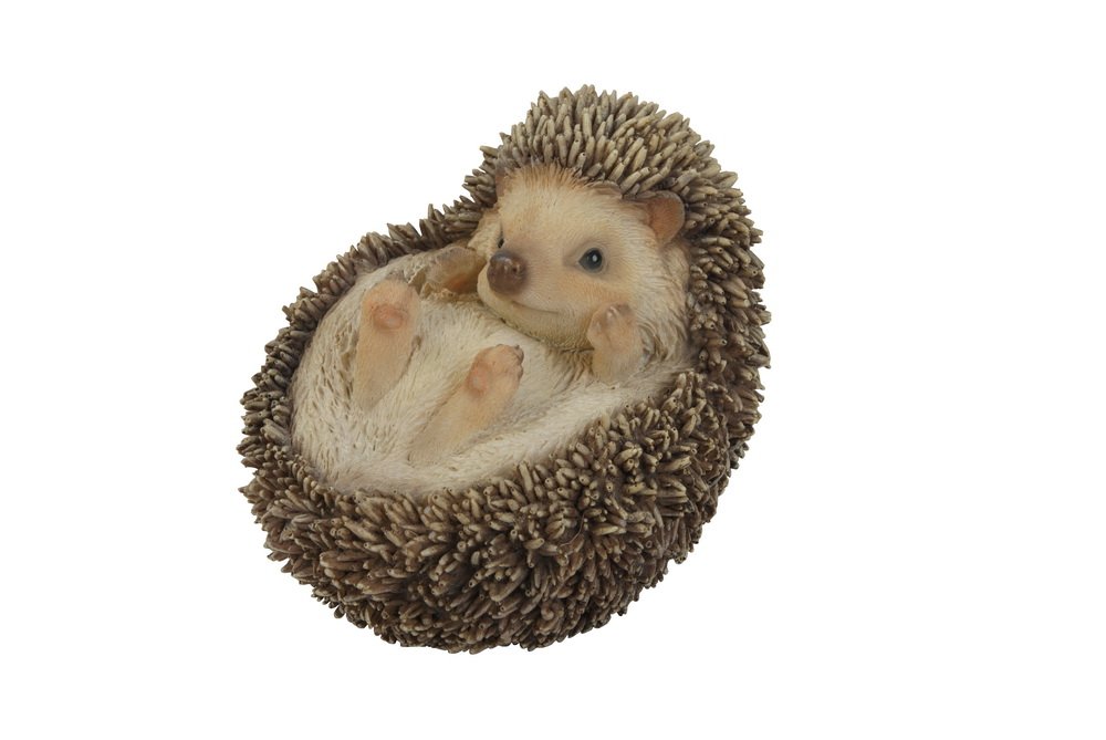 Hood Gift Ltd Hedgehog Back Statue