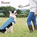 Kuoser Waterproof Dog Coat, Reversible Dog Jacket for Medium Dogs, Adjustable Durable Doggie Winter Coat Warm Puppy Cold Weather Apparel from Small to Large Breed, Blue M