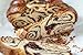 Blends by Orly Premium Gluten Free Pastry Flour Manhattan Blend - 20 OZ