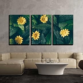 3 Piece Canvas Wall Art - Creative Layout Made of Green Leaves and White Flower. Flat Lay. Nature Concept - Modern Home Art Stretched and Framed Ready to Hang - 16"x24"x3 Panels