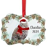 Mackerel Tabby Ragamuffin Cat Christmas Ornament