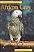 Pet Owner's Guide to the African Grey by Annette De Saulles