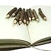 TropicaZona Branch & Twig Graphite Pencils, 10-Pack, Approximately 3.5 Inches Long, Small Size, Fits Nicely in Child's Hand