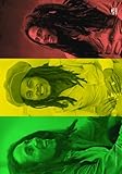 LPGI Bob Marley Rasta Collage Fabric Poster, 30 by 40-Inch