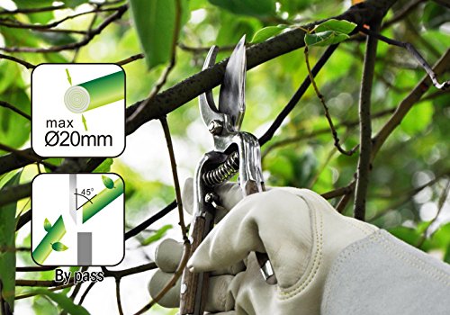 Gardtech 8" Stainless Steel Bypass Shear Pruning Shears Garden Scissors - Thumbnail 5