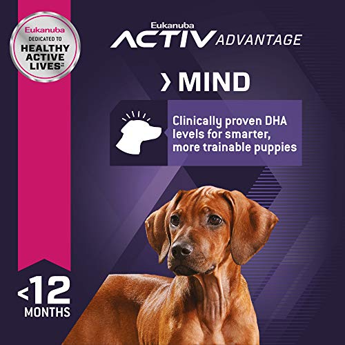 Eukanuba Large Breed Puppy Food - Image 4