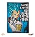 JUST FUNKY Official Dragon Ball Z Super Saiyan God, Super Saiyan Vegeta Premium Warm Fleece Throw Wall Hanging Tapestry/Fleece Throw Blanket