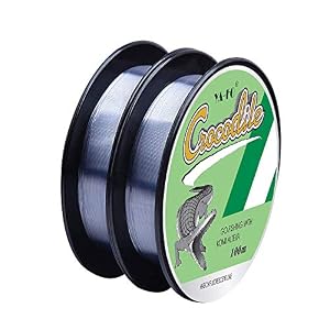 2 Pcs Fil De Peche,ligne De Pêche En Nylon,fils De Pêche Résistant à L’abrasion,fil De Pêche En Fluorocarbone,a Une Excellente Résistance Et Résistance à L’usure, Un Must Pour Les Pêcheurs (100m)