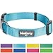 Blueberry Pet Essentials Large Dog Collar in Turquoise | Adjustable & Eco-Friendly Durable Nylon Strap | Classic Collar for Large Dogs, Boy & Girl Pets