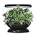 AeroGarden 7 LED Indoor Garden with Gourmet Herb Seed Pod Kit