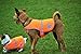 4LegsFriend Reflective Dog Vest. Hi-Visibility, Oxford 300D Waterproof Blaze Orange Dog Vest Helps Protect Your Best Friend. Safeguard Your PUP from Motorists & Hunting Accidents, On or Off Leash
