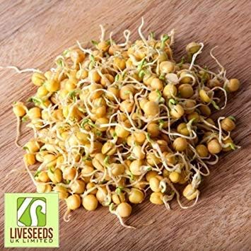 Shop Meeko Liveseeds Piselli Gialli Germogli Semi 400grams Amazon It Giardino E Giardinaggio