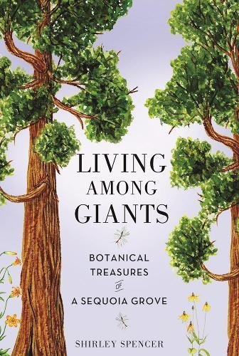 Living Among Giants: Botanical Treasures of a Sequoia Grove by