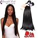 8A Brazilian Virgin Hair Straight (12