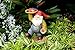 PRETMANNS Fairy Garden Fairies Accessories – Miniature Gnome & Farm Animals – 6 Piece Set – Part of The Fairy Farm Collection