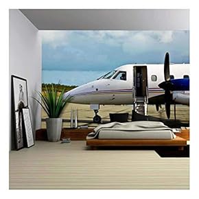 Private Propeller Plane Waiting for The Client - Removable Wall Mural | Self-Adhesive Large Wallpaper - 66x96 inches
