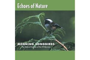 Echoes of Nature: Morning Songbirds