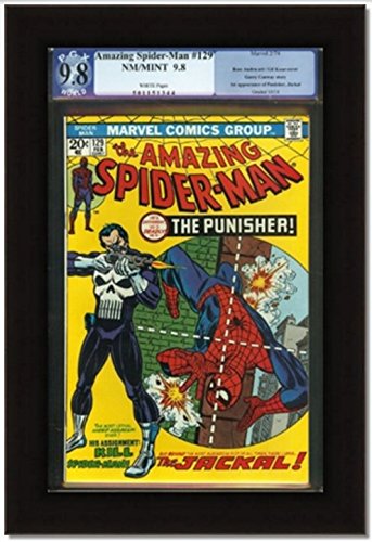 Economy Graded Comic Book Frame (PGX)