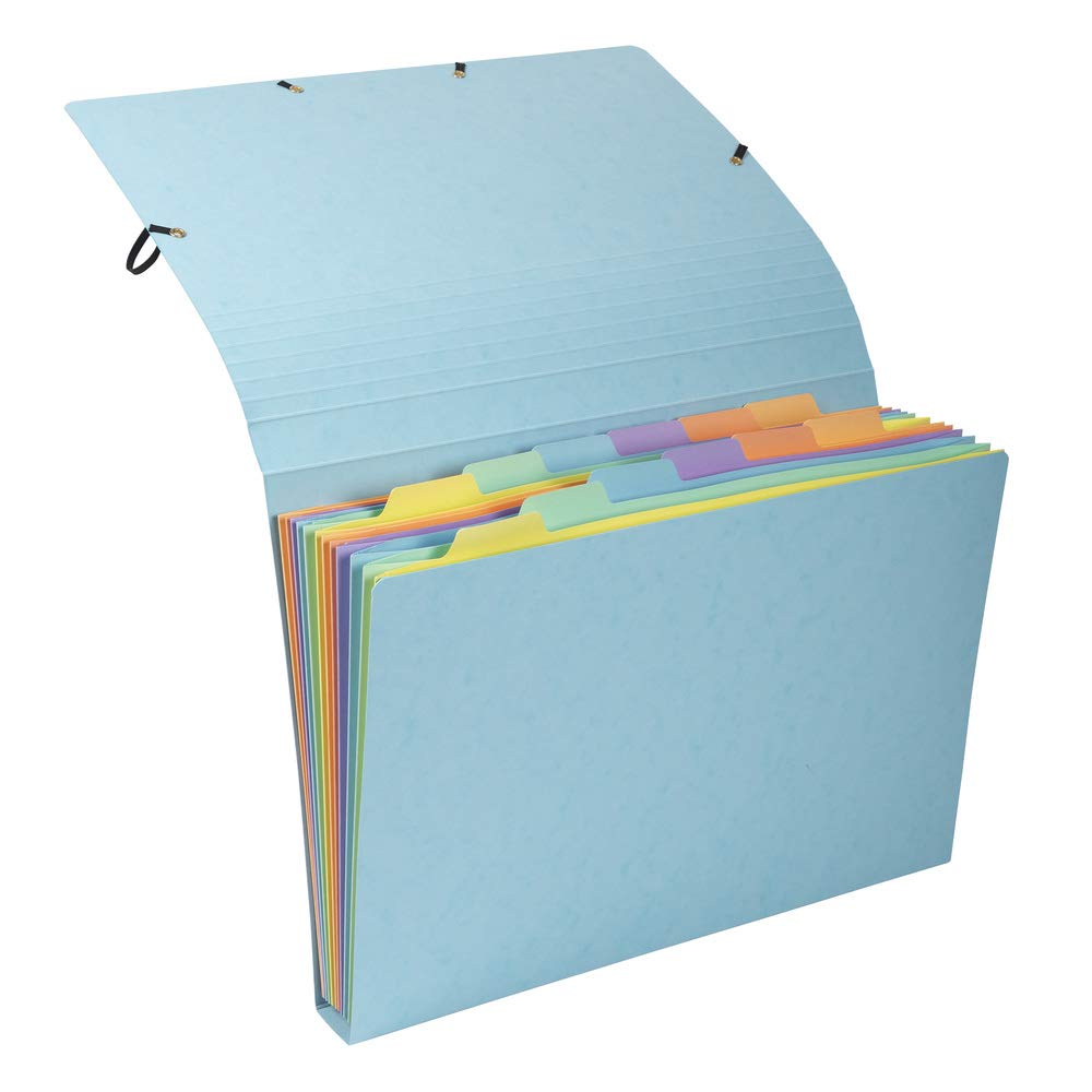 Exacompta - Ref. 58560E - 1 Watercolour Sorter Pocket Multicoloured Pastel Card 12 Compartments - Snap Closure - Format 34 x 24.5 cm for A4 Documents - Random Colour