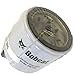 BOBCAT OEM Fuel FILTER 6667352
