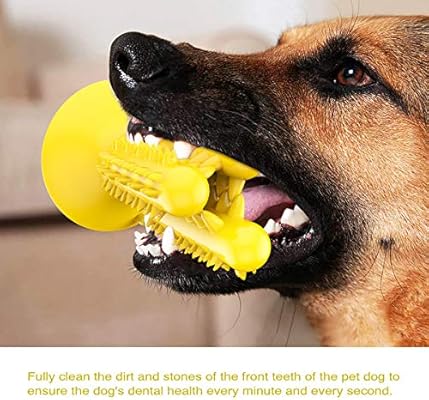 healthy snouts dog toothbrush