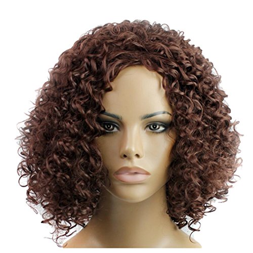 Curly Short Wigs, Inkach Women Density Natural Hairline Sprial Curls Kinky Synthetic Lace Wig
