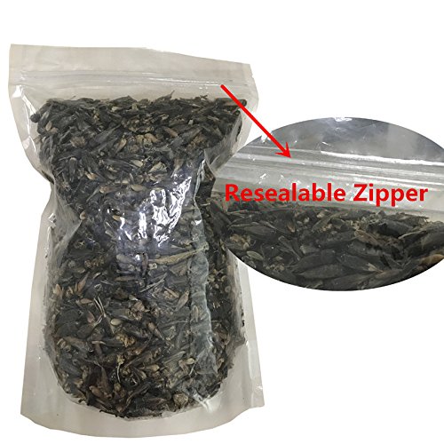 Hatortempt 5lbs Dried Cricket for Chicken,Wild Bird,Fish,Reptiles