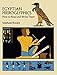 Egyptian Hieroglyphics: How to Read and Write Them by Stephane Rossini