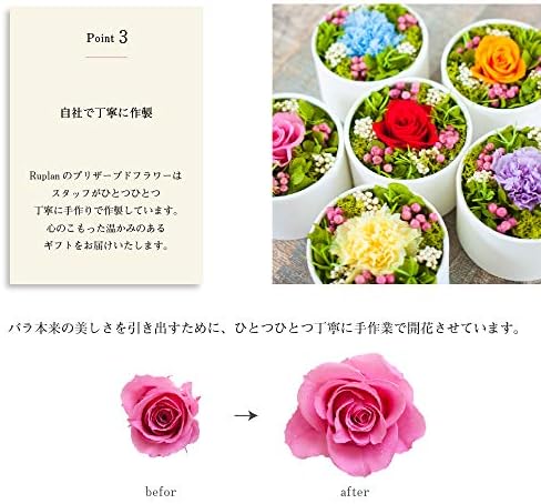 Ruplan プリザーブドフラワー Adorable アドォーラァブル ホワイト カーネーションラベンダー B07vgrgynn 1 515円 人気海外一番 100 品質保証 全品送料無料 即日出荷 Sale開催中