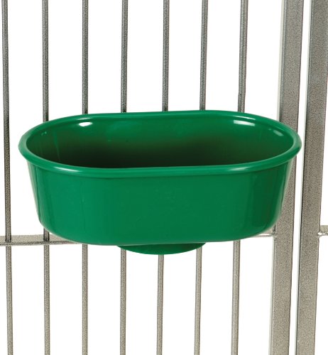 Paradise Sure Lock Cup, 20 oz