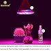 SunGrow Hydroponic Light, 12-watts, 110-volts, Grow Plants Without Soil, Energy-Efficient, Used in Indoor Flower Gardens, Nurseries, Hydroponics, Greenhouses