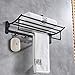 Rozin Bath Towel Holder Wall Mount Folding Towel Rack with Hooks Black Color