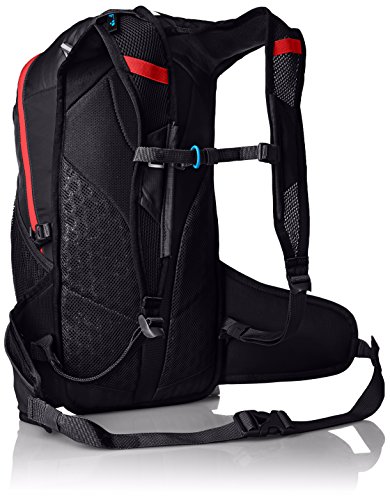 salomon trail 20l