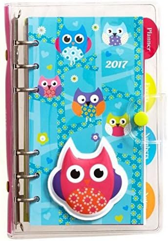 2017 Weekly Vinyl Puffy Owl Engagement Calendar Planner