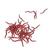 100-PCS-Red-Worm-Soft-Rubber-Fishing-Lures-Baits-15-Inch-4-cm