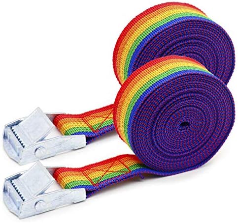 2x Lashing Straps with Buckle Good for Roof-top Tie Down Mounted Cargo(10'x1')