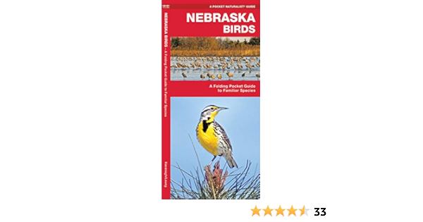 Nebraska Birds A Folding Pocket Guide To Familiar Species Wildlife And Nature Identification Kavanagh James Waterford Press Leung Raymond 9781583551851 Amazon Com Books