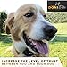 Donidin Silent Electronic Anti-Bark Dog Training Collar. 7 Adjustable Sensitivity Control Levels for Small or Medium Dogs. Free Bonus