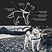 EzyDog Quick Fit Dog Harness – No Pull Harness for Training, Everyday Walking, and Easy Control - Adjustable Fit, Reflective, and Padded (Medium, Red)