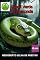 Livro Sucuri Verde Ou Anaconda