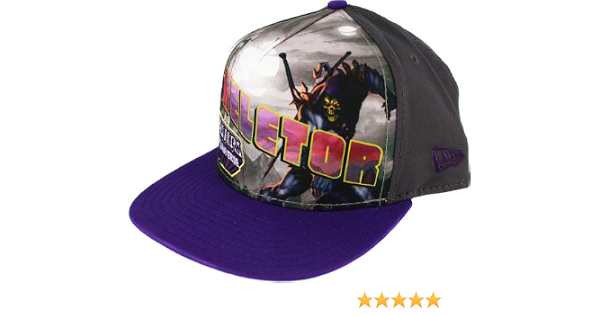 Amazon.com: Skeletor Villain Post 