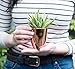 Small Faux Aloe Succulent in Rose Gold Ceramic Planter - 4 x 6 Inches - Marmeda Decor Potted Artificial Plant in Shiny Copper Glazed Pot - Global Modern Metallic Decor for Home or Office