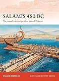 Salamis 480 BC: The naval campaign that saved Greece by