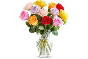From You Flowers - One Dozen Rainbow Roses with Glass Vase | Fresh Flower Bouquets for Birthday, Anniversary, Get Well or Celebration
